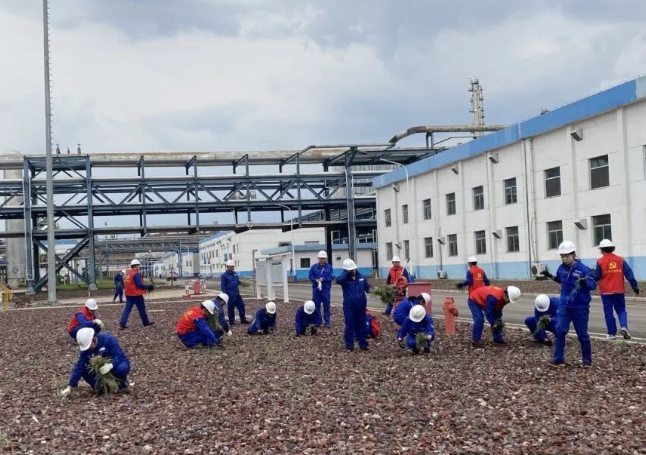 261719383291600314.png image.png